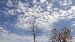 Gerai Nasi Goreng Udang